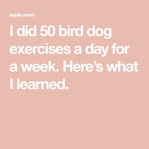 I did 50 bird dog exercises a day for a week. Here’s what I learned. Birddog Exercise, Brat Diet Recipes, Stenosis Exercises, Russian Twist Exercise, Bird Dog Exercise, Wine Calories, Leg Machine Workout, Brat Diet, Spinach Nutrition Facts