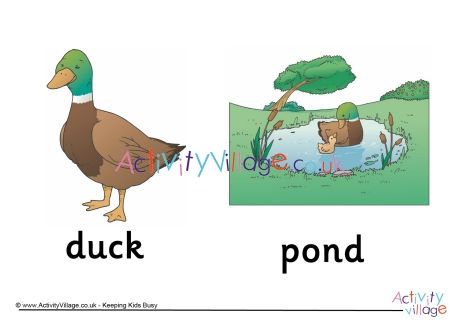 Birthday Cake Clip Art, Animals And Their Homes, Poster To Print, Home Posters, Baby Animal Names, Activity Village, Duck And Ducklings, Animal Home, Duck Pond