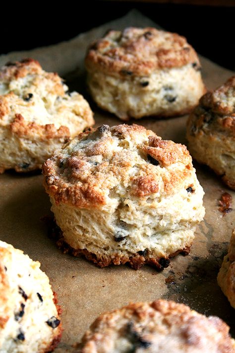 Tartine's Currant Scones Buttermilk Scone Recipe, Currant Scones, Buttermilk Blueberry, Blueberry Scones, Pastry Blender, Lemon Cream, Scone Recipe, High Altitude, Cream Recipes