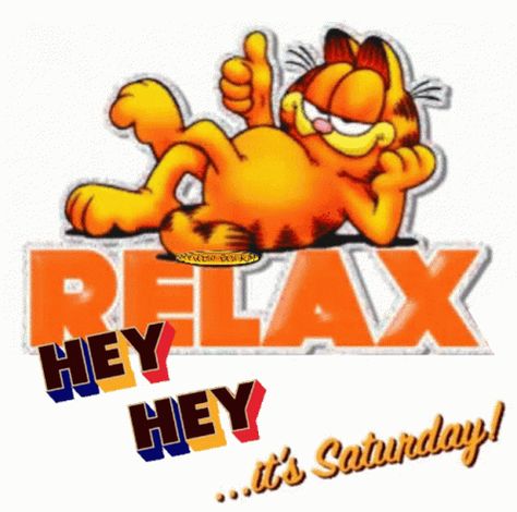 Day And Night Quotes, Saturday Greetings, Tenor Gif, Saturday Quotes, Morning Cat, Good Morning Saturday, Garfield Comics, Quotes Gif, Good Morning Happy Sunday