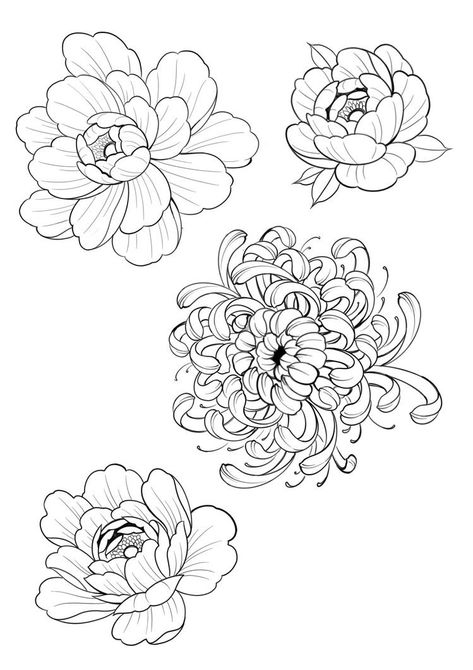 Flowers To Add To A Tattoo, Irezumi Flower Tattoo, Flash Art Flowers, Traditional Flash Art Tattoo, Japan Flower Drawing, Hand Poke Flower Tattoo, Different Types Of Flowers Tattoos, Chrysanthemum Tattoo Outline, Chrysanthemum Flower Tattoo Design