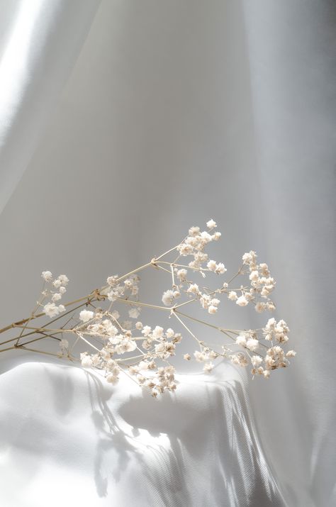 gypsophila-flowers-with-simple-style-white-silk-background White Flowy Aesthetic, White Silk Background, Flower Gypsophila, Flowers Minimalist, Gypsophila Flower, Minimalist Background, Silk Background, Sun Aesthetic, Photo Wedding Invitations