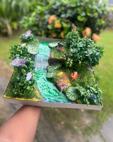 Model of a Rainforest Need a creative touch for your child’s next school project? Let us handle it! Place your assignment order today and watch their ideas come to life. Delivery available islandwide !!!!! #assignments #assignmentsja #modelofbrain #kinderkraft #homework #homeworkja #modelofrainforest School Project, School Projects, Homework