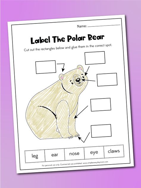 Arctic Animals Preschool Science, Polar Bear Books Preschool, Preschool Polar Bear Activities, Polar Bear Lesson Plans Preschool, Polar Bear Polar Bear What Do You Hear Activities Preschool, Polar Bear Polar Bear What Do You Hear Activities, Polar Bear What Do You Hear Activities, Polar Bear Activities For Kindergarten, Polar Bear Worksheets Preschool