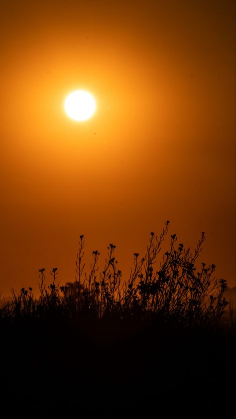 Sunset Background For Editing, Blur Background Hd, Orange Sunsets, Dslr Blur Background, Gods Art, Flower Background Iphone, Hd Background Download, Live Screen, Beautiful Ocean Pictures