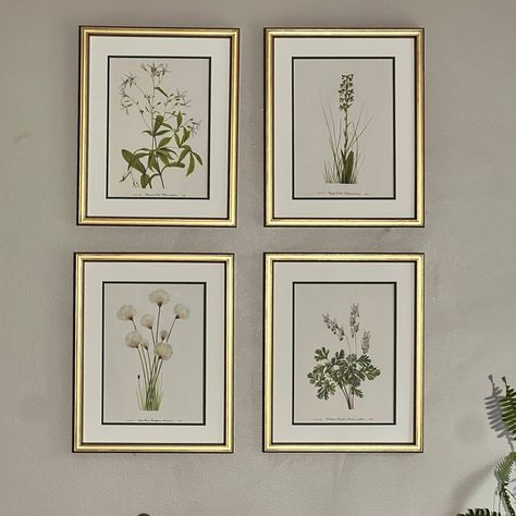 This beautiful set of 4 original vintage botanical wild flower prints, framed, were published in 1978. These 46 year old wildflower prints of  Bowman’s Root, RaggedOrchid, Cotton Grass, and Dutchman’s Breeches  have been drawn by a renowned illustrator. They have  been newly matted and framed using only conservation quality products including UV glass. Look for other sets of 2 or 4 by Timeless Walls to make a gallery wall of botanicals  set of 6 or 8! You may message me as well.   These wild flower would look great in any room! Try these print over your bed, in the foyer or flanking a mirror in your dining room! These prints are timeless and you will love them for years while also being quality made for generations to come!  These botanicals have colors of variegated greens and cream on a Plant Frame Wall Decor, Botanical Framed Art, Wall Art Above Couch, Framed Botanical Prints, Wall Inspiration, Lounge Ideas, Botanical Print Set, Botanical Artwork, Framed Botanicals