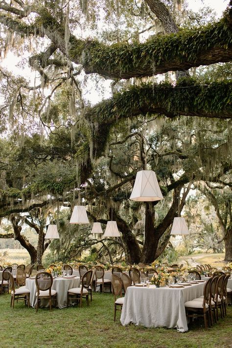 Wedding Venues Backyard, Bridal Party Themes Color Schemes, Waimea Falls Wedding, Old House Wedding Venues, Fall Charleston Wedding, 30a Wedding Venues, Australian Wedding Venues, Country Side Weddings, Outdoor Southern Wedding