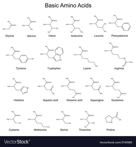 Strong Acids And Bases, Chemistry Acids And Bases, 20 Amino Acids Structure, Nucleic Acid Structure, Chemical Bonding And Molecular Structure, Human Organs, Study Chemistry, Human Organ, Study Related