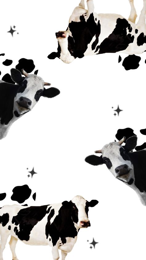 Cow Background, Cow Wallpaper, Cow Print Wallpaper, Lit Wallpaper, Hippie Wallpaper, Cute Cows, Simple Wallpapers, Homescreen Wallpaper, Cute Backgrounds