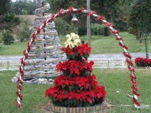 How to Make a Live Poinsettia Tree.  I make a smaller version for a small round table Poinsettia Tree, Church Christmas Decorations, Small Round Table, Christmas Tree Stand, Office Christmas Decorations, Flowering Plants, Office Christmas, Xmas Ideas, Outdoor Decorations