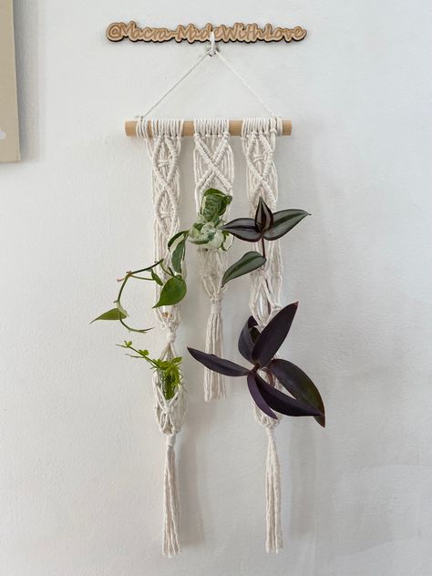 Macrame Test Tube Holder Diy, Crochet Propagation Station, Plant Propagation Wall, Macrame Test Tube Holder, Macrame Propagation, Macrame Propagation Station Diy, Macrame Plant Propagation, Diy Plant Propagation Station, Macrame Propagation Station