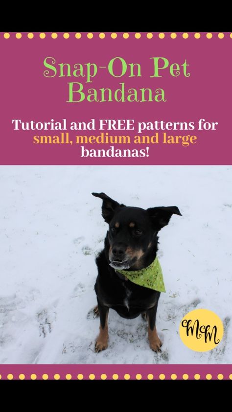 Check out this tutorial to make a last minute gift for your favourite pet! Easy, free sewing patterns for snap-on bandanas. Diy Dog Bandana For Large Dogs, Diy Dog Bandana Pattern With Snap, Dog Bandana With Snaps Pattern, Snap On Dog Bandana Pattern, Velcro Dog Bandana Pattern, Snap Dog Bandana Pattern, Doggie Bandana Free Pattern, Dog Bandanna Pattern Free, Doggie Bandana