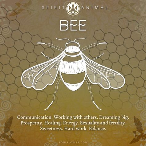 Bee Symbolism, Bee Spirit Animal, Animal Meeting, Turtle Spirit Animal, Turtle Symbolism, Animal Totem Spirit Guides, Find Your Spirit Animal, Spirit Animal Meaning, Animal Meanings