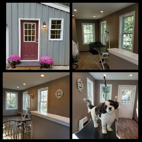 Dog Boarding Room Ideas, Shed Grooming Salon Ideas, Dog Grooming Building Ideas, Shed Dog Grooming Salon, Grooming Shed Ideas, Tiny Grooming Salon, Dog Grooming Shed Ideas, Small Grooming Salon Ideas, Small Dog Grooming Salon