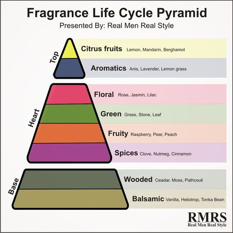 Fragrance Life Cycle Pyramid Infographic Perfumes Notes, Scent Families, Perfume Versace, Real Men Real Style, Homemade Perfume, Best Mens Cologne, Make Up Cosmetics, Best Perfume For Men, Man Card