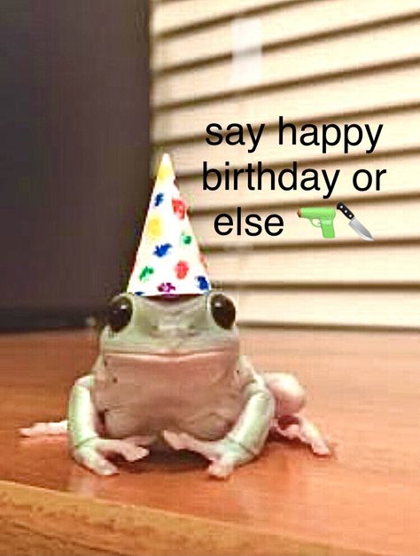 It’s My Birthday Reaction Pic, Happy Bday Aesthetic, Happy Birthday Reaction Pic, Birthday Reaction Pic, Happy Bday Pics, Cute Frog Birthday, Happy Birthday Aesthetic, Happy Birthday Frog, Posset Recipe