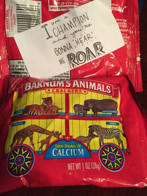 Gymnastics meet/ goody bags! Encourage your team mates with little cheers! "Roar" on animal crackers Cheer Treats Ideas, Gymnastics Meet Gifts Goody Bags, Cheer Snacks Ideas Goodie Bags, Cheer Gifts For Team Goody Bags, Softball Snacks, Sports Treats, Cheer Snacks, Cheer Treats, Goody Bag Ideas