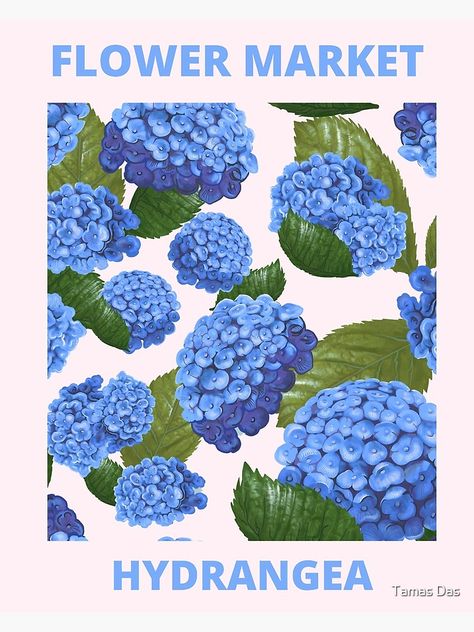 Hydrangeas Illustration, Garden Design Drawing, Hydrangea Poster, Flower Illust, Botanical Prints Free, Hydrangea Wallpaper, Ideas Garden Design, Fresh Tulips, Blue Hydrangea Flowers