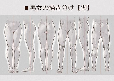 Legs Art Drawing, Leg Reference Female, Hip Drawing Reference, Digigrade Legs Drawing Reference, Female Legs Drawing, Female Poses Drawing Reference, Pelvis Drawing, Male Hips, Leg Anatomy