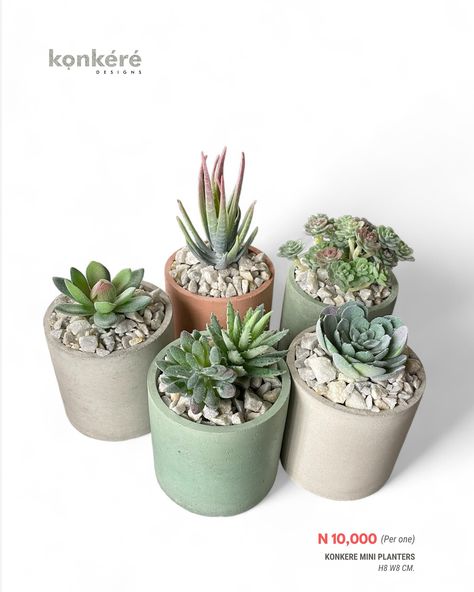 Konkéré mini artificial succulent plant does not require maintenance, ideal for those who do not like dealing with the chores of taking care of the real ones. Save yourself the hassle of watering, sun lighting, and fertilizing. It is a perfect gift for showing gratitude to a friend or loved one. Potted in our handmade mini concrete planters, this lifelike succulent will brighten any desk or shelf in your home or office. A thoughtful, fuss-free gift for any occasion! Price: 10,000 per pc Di... Showing Gratitude, Artificial Succulents, Faux Succulents, Concrete Planters, Concrete Decor, Real One, Succulent Plant, Planting Succulents, Save Yourself