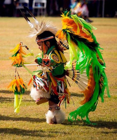 Native Child, Native American Dance, Native American Children, Native American Photos, Native American Peoples, Native American Heritage, American Indian Art, Pow Wow, American Spirit