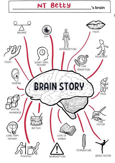 Sensory Story, Brain Map, Brain Regions, Time Perception, Learn About Yourself, Clinical Supervision, Vestibular System, Brain Mapping, Memory Words