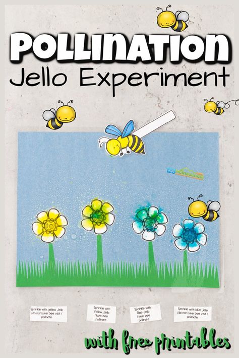 Pollination Activities For Preschool, Bee Learning Activities For Kids, Bee Pollination Activity, Bumble Bee Activities, Pollination Activities For Kids, Bee Activities For Kids, Science Experiment Worksheet, Preschool Bees, Pollination Experiment