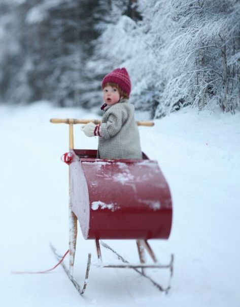 red sled Winter Schnee, Cool Baby, I Love Winter, Winter Magic, Winter Beauty, Sleigh Ride, Snow Scenes, Snowy Day, Winter Wonder