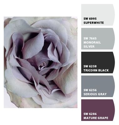 Instantly turn any picture into a palette with ColorSnap, created for you by Sherwin-Williams. Bedroom Purple And Gray, Silver Color Palette, Apartment Color Schemes, Bedroom Purple, Room Revamp, Living Colors, Living Room Decor Gray, Purple Color Palettes, Grey Color Scheme