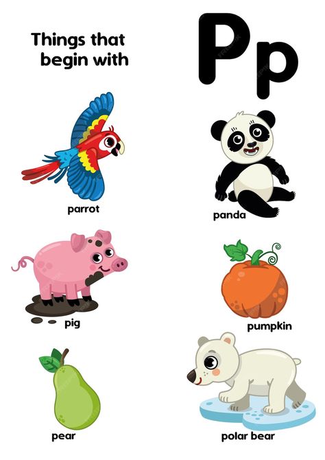 Premium Vector | Vector things that start with the letter p educational vector illustration for children Letter P Lesson Plan Preschool, P Is For, P Sound Worksheet, P Words Preschool, P Words Letter, Letter P For Penguin, Illustration For Children, The Letter P, Cvc Worksheets