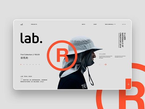 Contemporary Portfolio Design, Lab Graphic Design, Contemporary Web Design, Contemporary Website Design, Streetwear Website Design, Minimal Graphic Design Layout, Streetwear Design Graphics, Minimal Ui Design, Streetwear Website