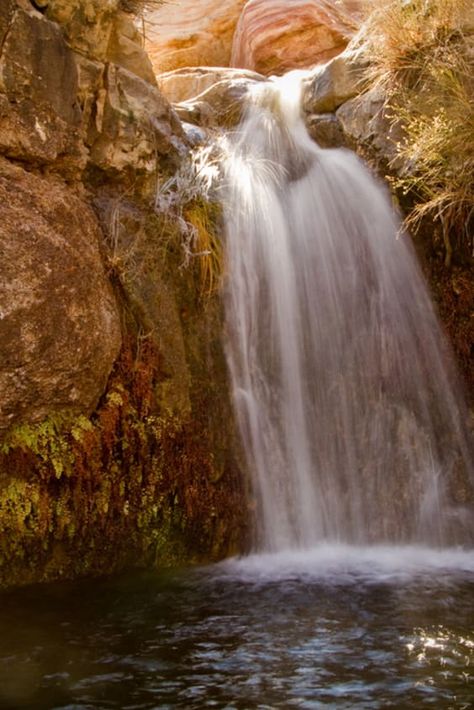 Check out "Waterfalls at Red Rock Canyon" in Nevada Red Rock Nevada, Natural Waterfalls, Red Rock Canyon, Nevada Travel, Outdoor Shoot, Small Pools, Kings Canyon, Small Waterfall, Beautiful Sites