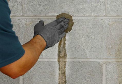 Tips for Waterproofing Basement Walls Waterproofing Basement Walls, Leaky Basement, Concrete Basement Walls, Basement Repair, Leaking Basement, Wet Basement, Basement Layout, Concrete Sealer, Diy Basement