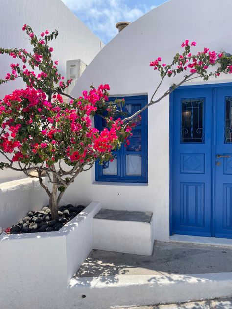 Greek Inspired Garden, Po Teletubbies, Greek Cafe, Greek Aesthetic, Greek Garden, Greek Flowers, Santorini Blue, Gorgeous Doors, Greek House