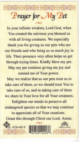 Prayer for My Pet -1 | Found this in a local Catholic bookst… | Flickr Dog Poems, Sick Dog, Pet 1, Lord God, San Francesco, Prayer Board, Prayer Warrior, My Pet, Catholic Prayers