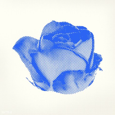 Halftone blue rose flower sticker overlay | premium image by rawpixel.com / NingZk V. Aesthetic Flower Illustration, Rose Shirt Design, Free Png Stickers, Rose Flower Sticker, Blue Flower Png, Sticker Overlay, Trend Poster, Halftone Art, Flower Overlay