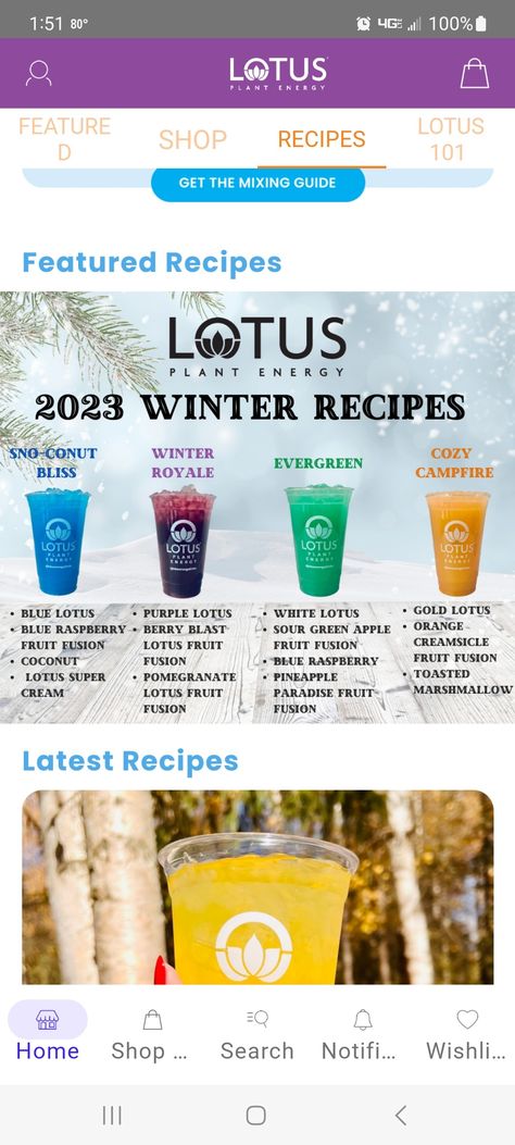 Holiday Lotus Drinks, How To Make A Lotus Energy Drink, Christmas Lotus Drinks, Lotus Energy Recipes, Fall Lotus Drinks, Winter Lotus Drinks, Lotus Recipes Drink, Blue Lotus Energy Drink Recipes, Lotus Energy Drink Combinations