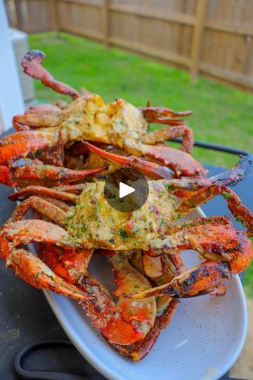 1.3M views · 20K reactions | Chargrilled Blue Crabs might be one of the best things you can ever eat. I’m telling y’all it’s pressuuurreee! #mealsbyaldenb #southernmade #bluecrab | Alden Boudy | Alden Boudy · Original audio Crab Sauce Recipe, Blue Crab Recipes, Best Homemade Spaghetti Sauce, Grilled Crab, Seafood Ideas, Seafood Dinners, Lobster Dishes, Seafood Diet, Crab Dishes