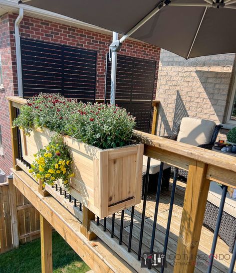 DIY Railing planter - 100 Things 2 Do Patio Railing Planters, Deck Planter Boxes Railings, Cedar Railing, Diy Railing, Railing Planter Boxes, Deck Planter Boxes, Deck Railing Planters, Pressure Treated Deck, Patio Railing