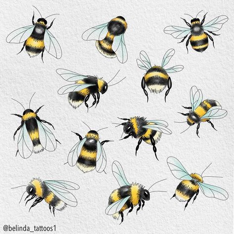 Cute little bumblebees available to tattoo. I love tattooing bumblebees 🐝 These are £50 each and repeatable. . . . #bumblebees #bumblebeetattoo #bumblebeeflash #beetattoo #beetattooideas #cutetattooideas #naturelovers #naturetattoo #westbyfleet #woking #inked #finelinetattoos #inkedwomen #tattooartist #tattooist #tattooing #femaletattooartist Bee Drawings, Chest Tattoo Designs Female, Bumble Bee Tattoo, Bee Drawing, Circle Tattoos, Insect Tattoo, Bee Painting, Bee Illustration, Wicked Tattoos