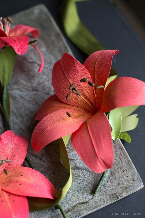 Red flowers garden