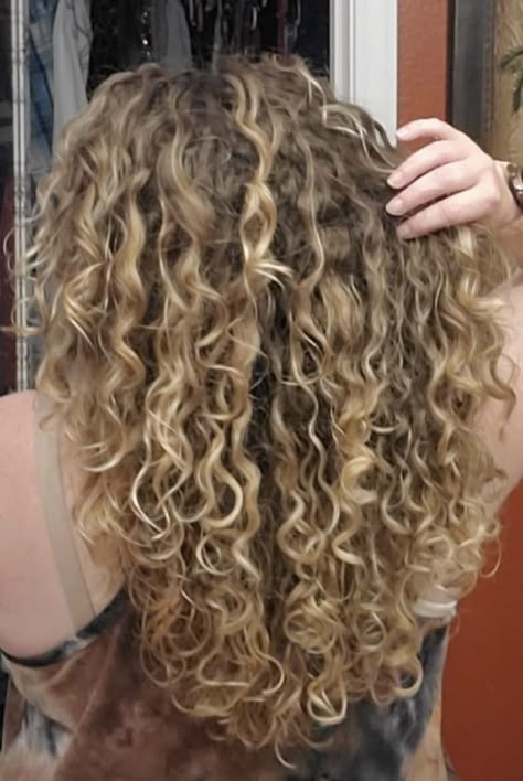 Brown Curly Hair With Blonde Tips, Curly Sandy Blonde Hair, Partial Highlight Curly Hair, Super Curly Blonde Hair, Really Curly Blonde Hair, Subtle Blonde Highlights Curly Hair, Blonde 2c Hair, Carmel Blonde Curly Hair, White Hair Over 50