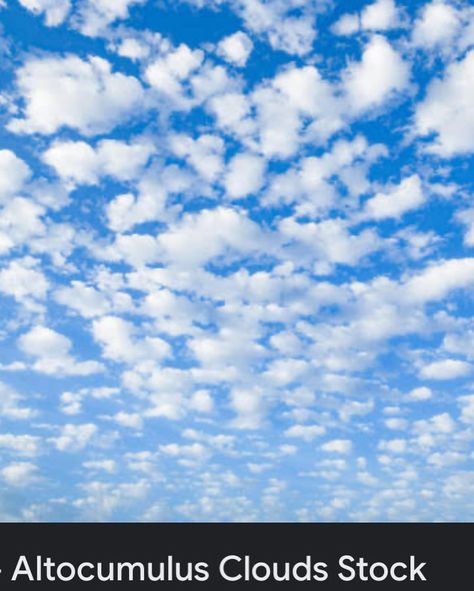 Sky - 1 In my information these clouds are known as ALTOCUMULUS CLOUDS . °They are identified by segments of clouds seen together in small or some distance .(Broken clouds) °They do not possess rain and are generally at a height of 6000-20,000 feet. ° Here because of weather conditions the density of these clouds are less . * So I have been told to let my love for sky be posted . So I’ve decided to share with you guys the perception of sky from my viewpoint .* Picture 1 is taken by me P... I Love You Clouds, Altocumulus Clouds, Broken Clouds, Weather Conditions, My Love, Density, Blue Sky, Let It Be, Collage