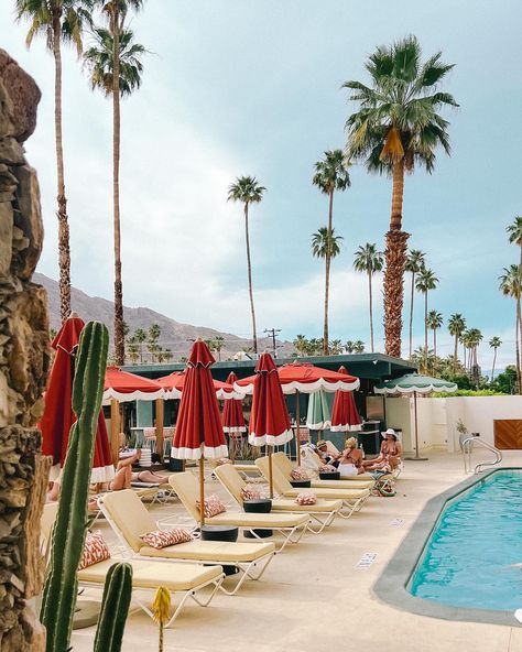 Cute sunny desert getaway spot in Palm Springs🌵🪩🌞 BRB putting all of my plants in disco ball planters now @lifehousehotels #70sdesign #ad100 #archdigest #boutiquehotels #californiahotel #californiatravel #dwellmagazine #hoteldesign #hunkerhome #inmydomaine #mydomaine #palmsprings #socallife #sodomino #urbanjunglebloggers #wheretofindme Retro Palm Springs Party, Hotel Sweet, Palm Springs Design, Palm Springs Hotel, Palm Springs Party, Dwell Magazine, Hollywood Hotel, Palm Spring, Ace Hotel