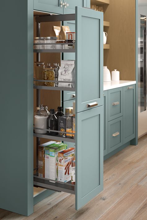 Cabinet Organization & Interiors - Kitchen Craft Kitchen Craft Cabinets, Pantry Interior, Interiors Kitchen, Storing Spices, Utility Cabinets, Craft Cabinet, Vanity Drawers, Cabinet Wall, Kitchen Craft