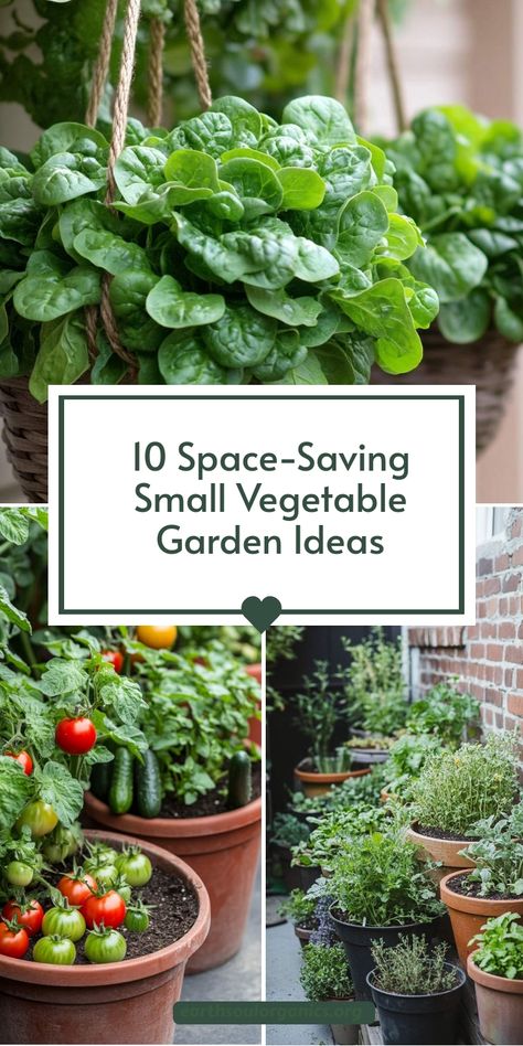 No backyard? No problem! Check out these practical small vegetable garden ideas for patios, balconies, and even indoor setups. Get tips for growing fresh produce in compact spaces and enjoy the taste of homegrown veggies year-round. #SmallVegetableGardenIdeas #UrbanFarming #MicroGardens Small Patio Garden Ideas Townhouse, Small Pot Garden Ideas, Container Gardening Indoor, Balcony Vegetable Garden Ideas Apartment, Portable Garden Ideas, Vegetable Garden Small Space, Backyard Garden Ideas Vegetable, Deck Garden Ideas Vegetables, Mini Garden Ideas Small Spaces Balcony