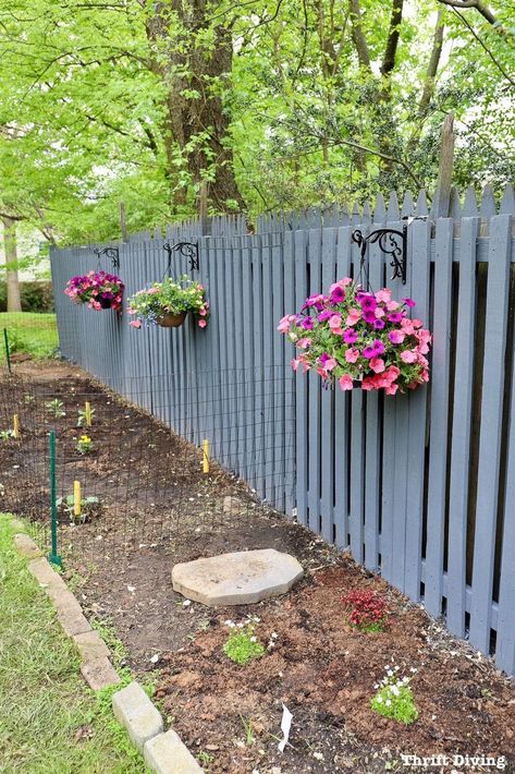 How to Use a Paint Sprayer to Paint a Wood Fence - Pretty blue fence makeover with a garden and flowers. - Thrift Diving Fence Makeover, Painted Wood Fence, Painted Fences, Outdoor Fence Decor, Painted Fence, Blue Fence, Garden Fence Art, Privacy Landscaping, Backyard Fence