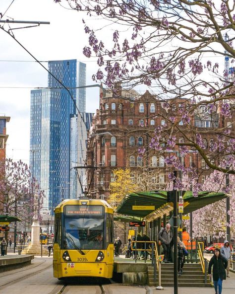 📍 St Peter's Square, Manchester 📷 IG: @throughmylenstm #bestofmcr University Of Manchester Aesthetic, Aesthetic Manchester, Manchester Flat, Manchester Aesthetic, Manchester Photography, Future Days, Pretty Views, Photography Location, University Of Manchester