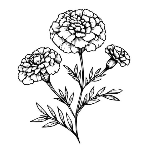 Marigold Stencil Tattoo, October Birth Flower Tattoo Marigold And Cosmos, Ornamental Vase Tattoo, Marigold Flower Tattoo Black And White, Marigold Tattoo Black And White, Mum Flowers Tattoo, Marigold Flower Drawing, Marigold Drawing, Flower Tattoo Flash