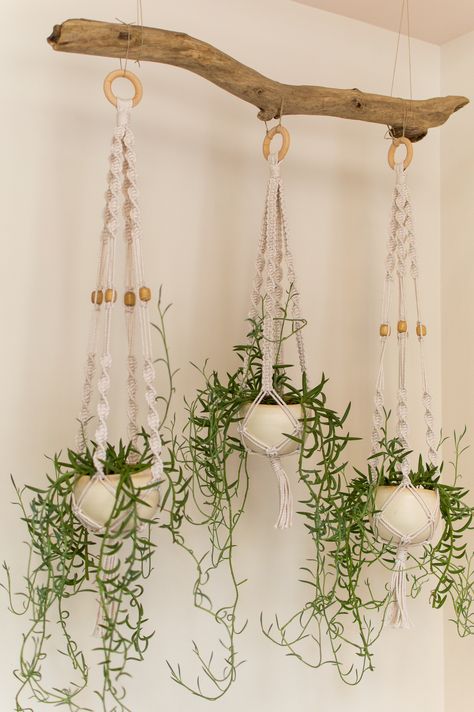 Macrame Hanging Plants Indoor, Macrame Plant Hanger Decor Ideas, Hanging Plants Macrame, Driftwood Plant Hanger, Simpul Makrame, Hanging Plants Diy, Macrame Plant Hanger Patterns, Diy Macrame Plant Hanger, Garden Decor Ideas